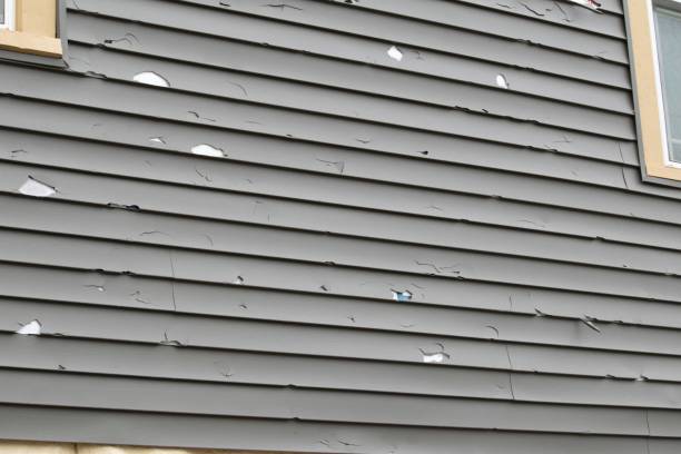 Best Scrap Metal Removal  in Holtville, CA